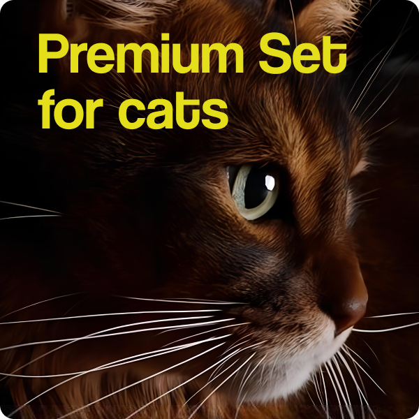 Set Premium per gatti