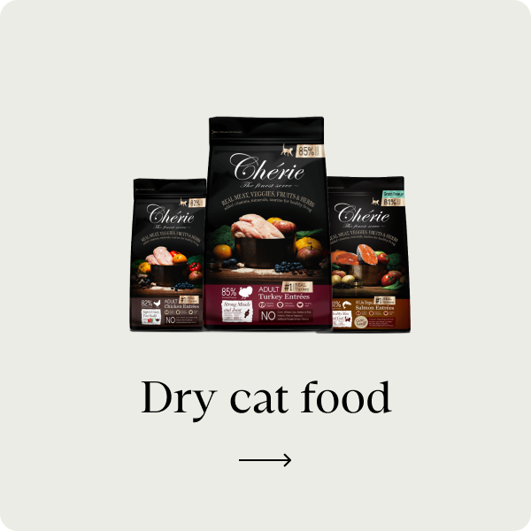 Cibo secco per gatti