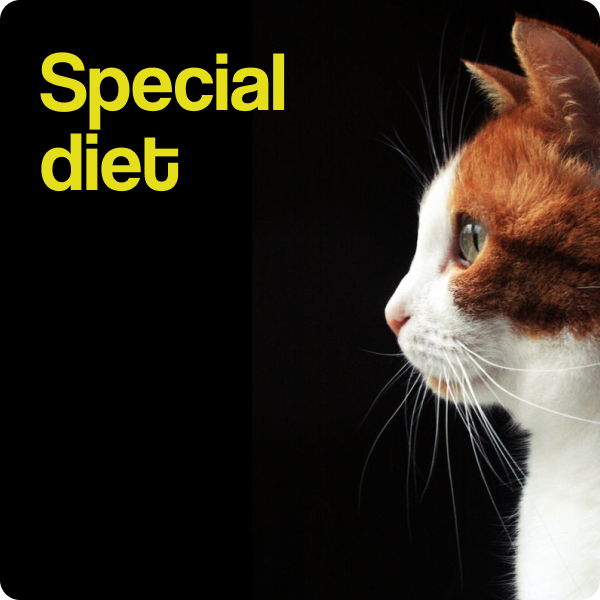 Dieta speciale