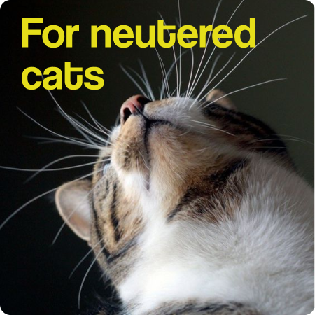 Per gatti sterilizzati