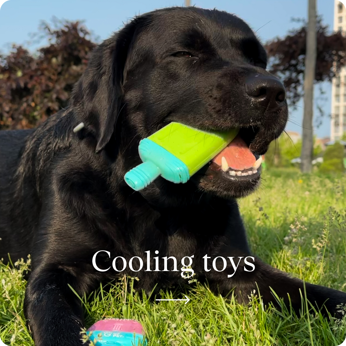 Giocattoli rinfrescanti