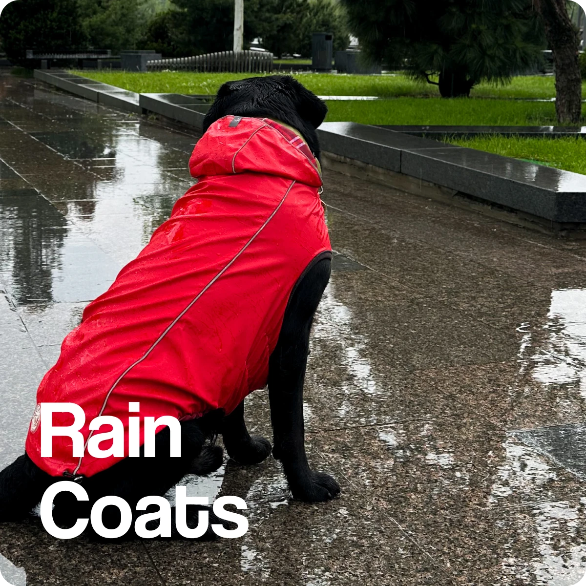 Impermeabili per cani