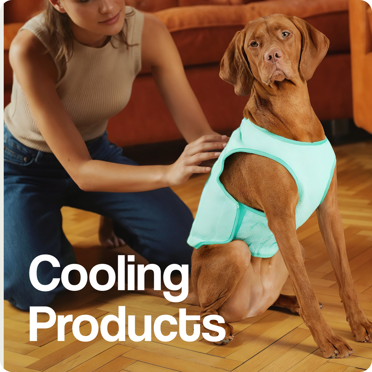 Prodotti rinfrescanti per cani