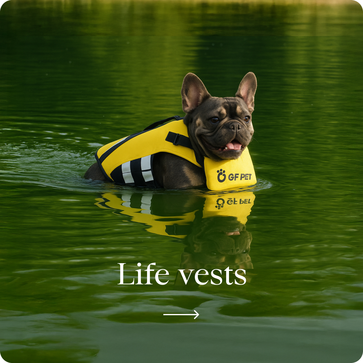 Giubbotti di salvataggio