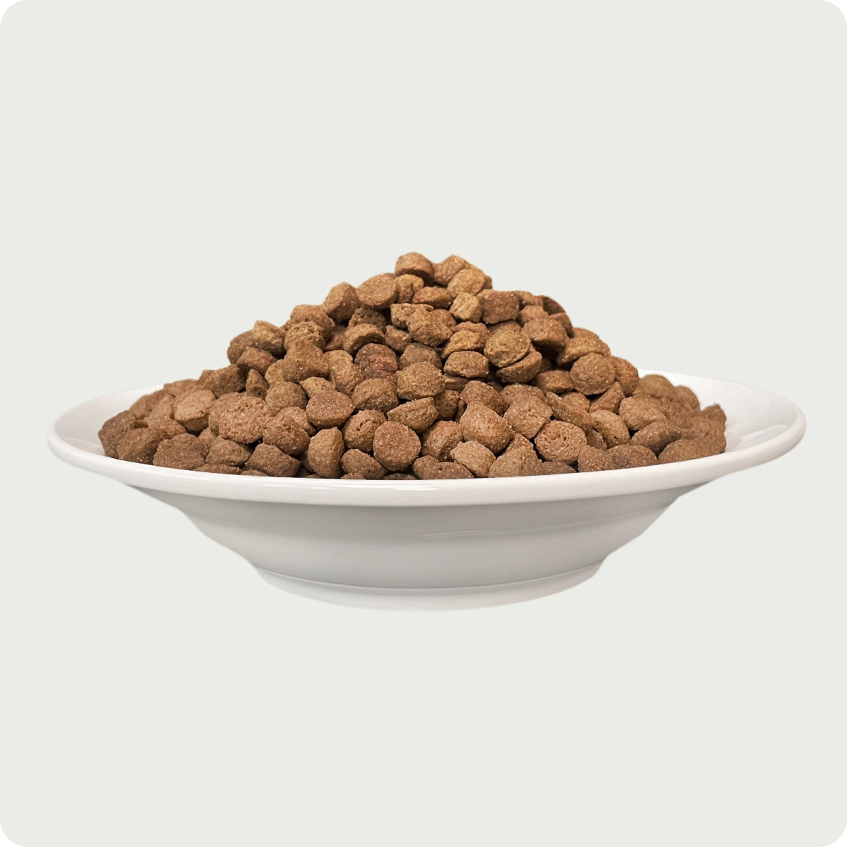 Chérie Dry Food Formula Grain-Free Duck Enrées 2kg + 2 lattine di cibo umido in omaggio