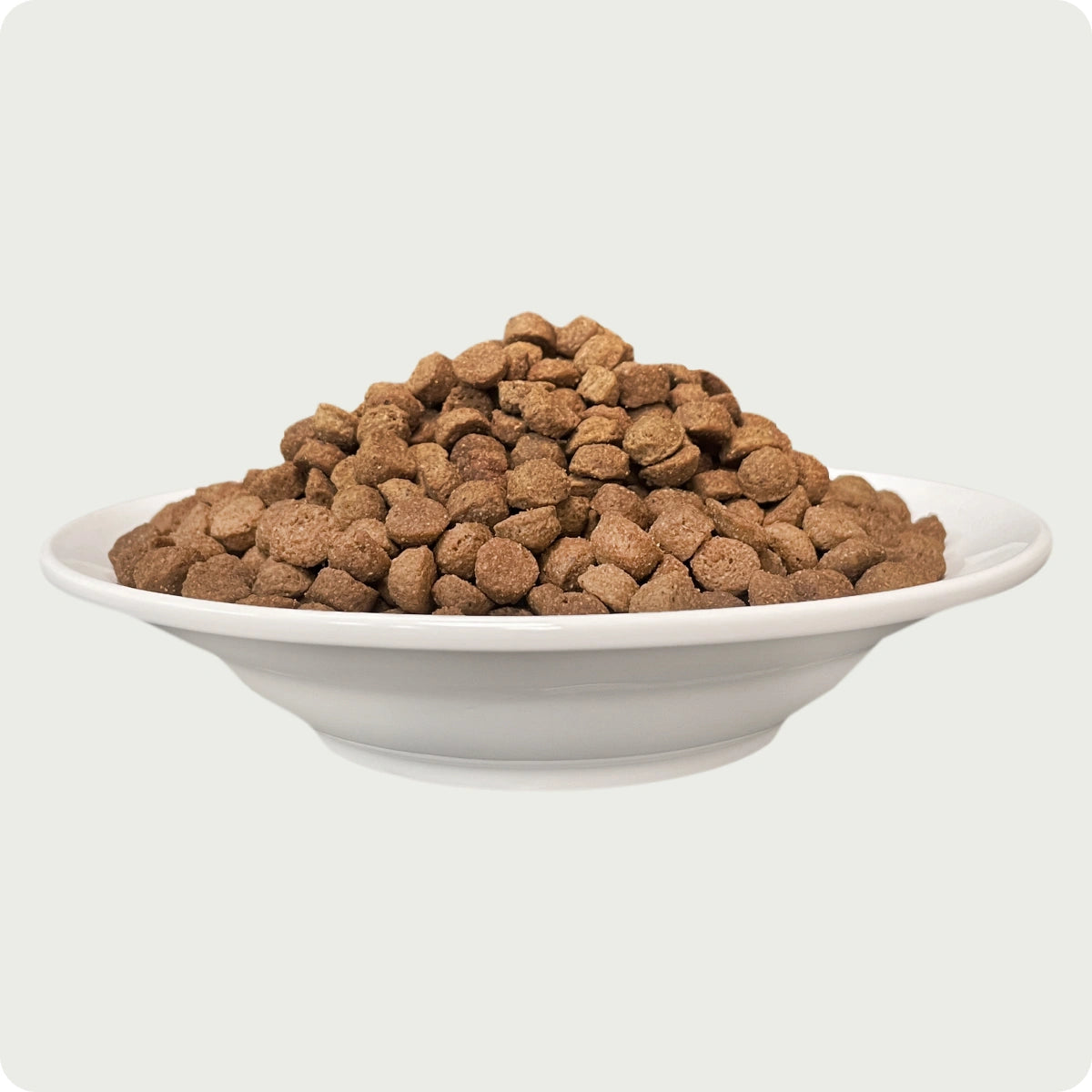 Chérie Cibo secco per gatti Antipasti di salmone senza cereali 400g. + 1 filetto gratis