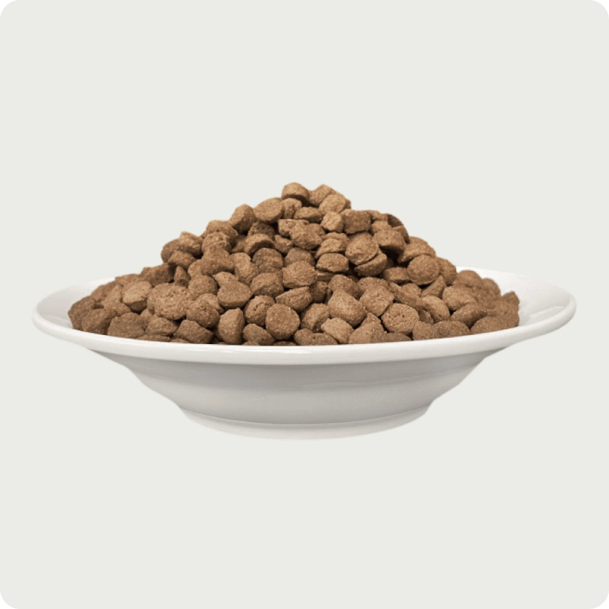Chérie Cibo Secco Antipasti di Tacchino Senza Cereali 400g. + 1 filetto gratis