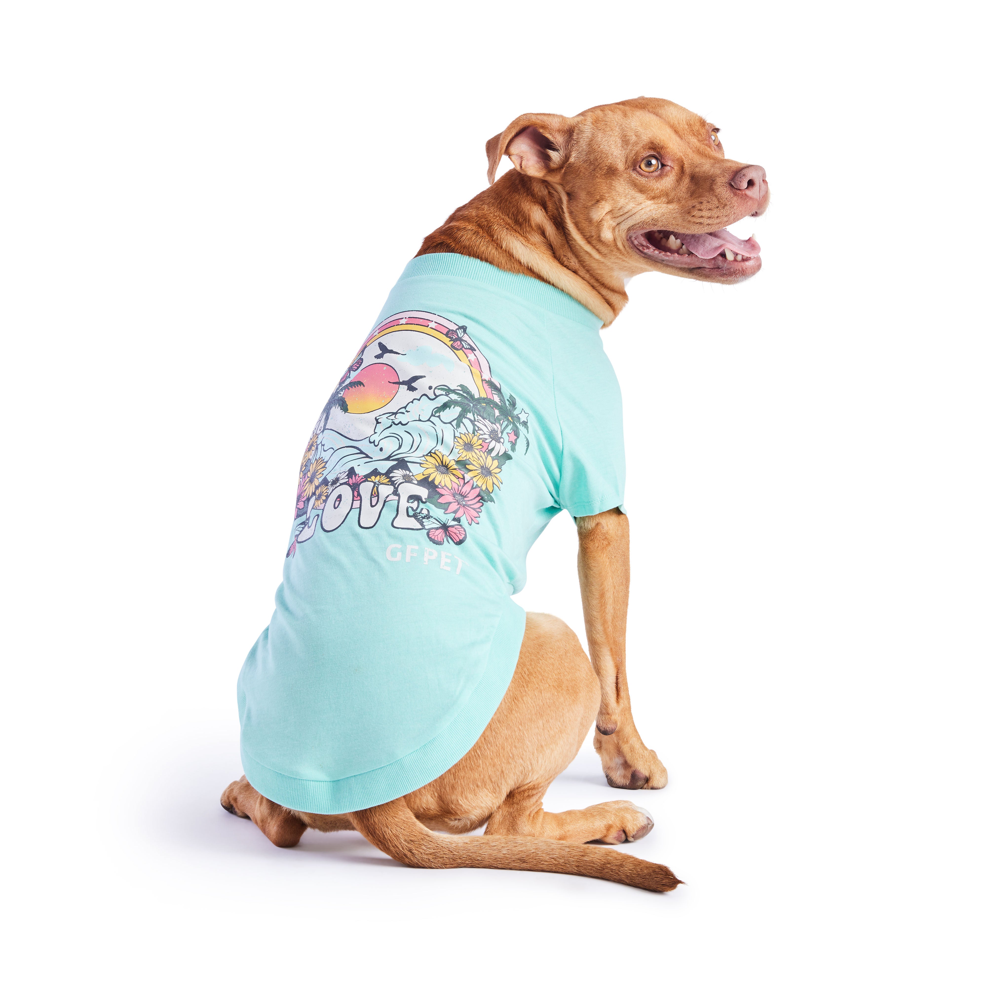 Maglietta Estiva per Cani | Collezione Autunno/Inverno | GF Pet | Azzurro Chiaro 