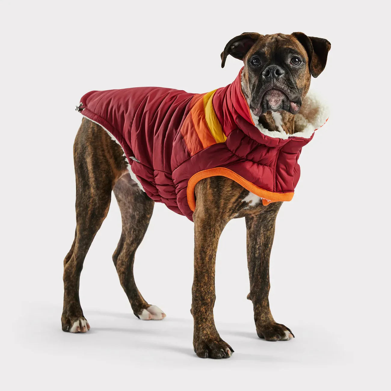 Cappotto invernale per cani GF Pet | Giacca calda e impermeabile Elasto-Fit®